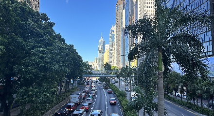 好消息，非本地生留学香港可以无限制在港工作了！